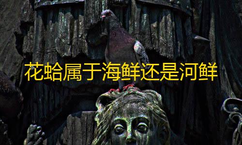 地铁逃生体验服直装科技最新版本花蛤属于海鲜还是河鲜